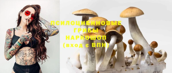 таблы Жердевка