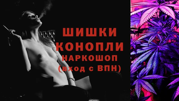 ПСИЛОЦИБИНОВЫЕ ГРИБЫ Снежногорск