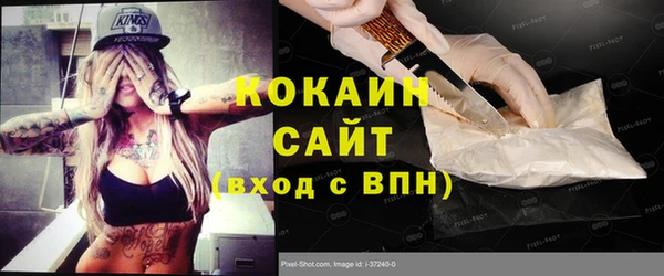 хмурый Алзамай
