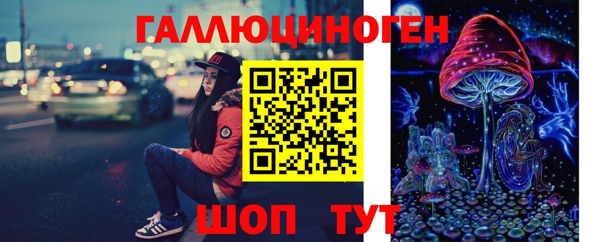 купить наркотики сайты  Псилоцибиновые грибы GOLDEN TEACHER  Вход с VPN  Павлово 